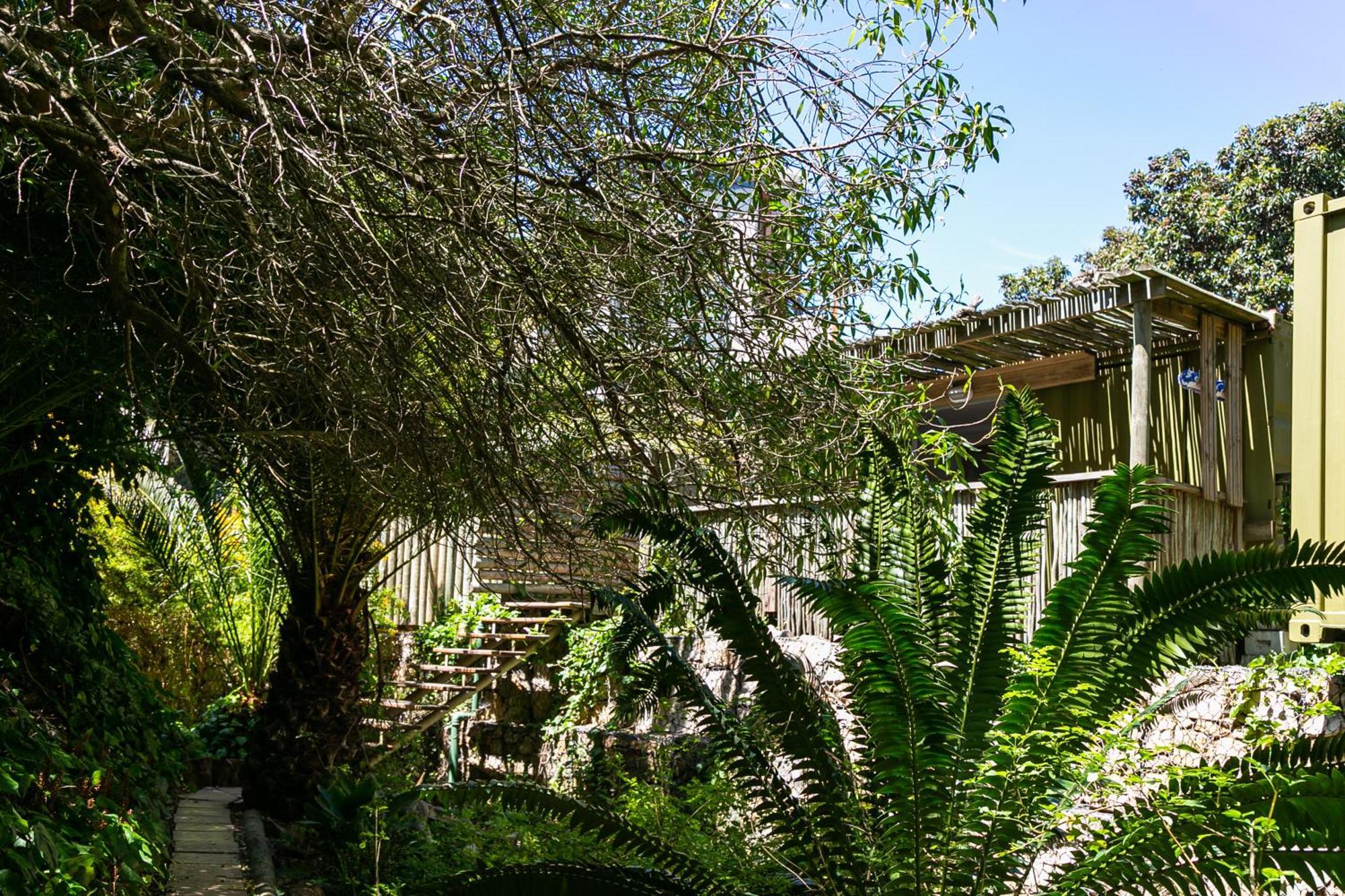 Camps Bay Forest Pods Kapstadt Exterior foto